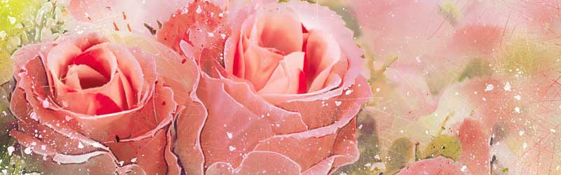 onTCgIRIZbNXړIɋ̂́H0010